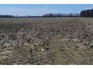 Property photo 15 - LAND AUCTION - 215+/- ACRES OFFERED IN 6 TRACTS IN VAN WERT COUNTY, OHIO